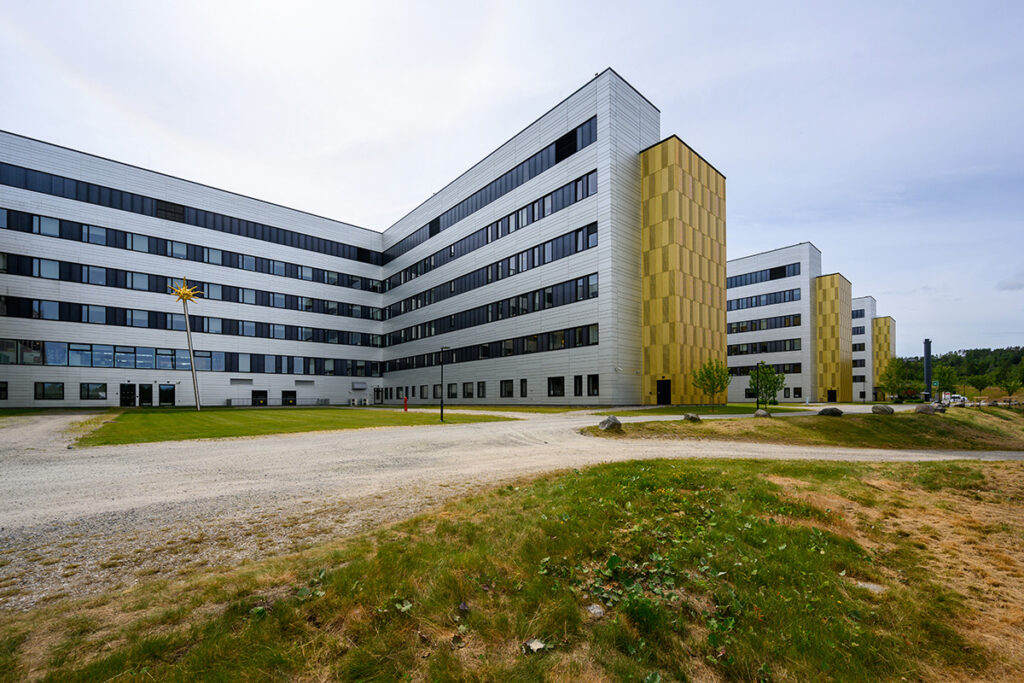 Experience-live---Kalnes-12